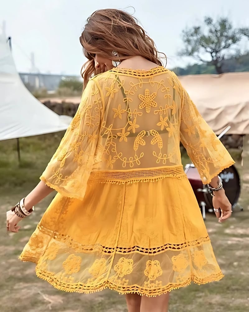 Mini robe en dentelle brodée col v — vue 5